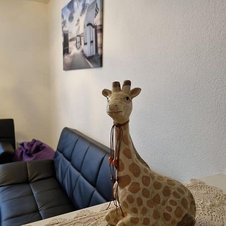 Monteurwohnung App 5 بيرمازنز المظهر الخارجي الصورة